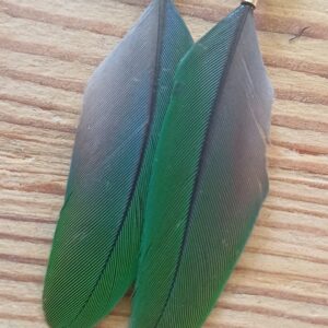 Alternative view of kolczyki z piór Drobne zielonki